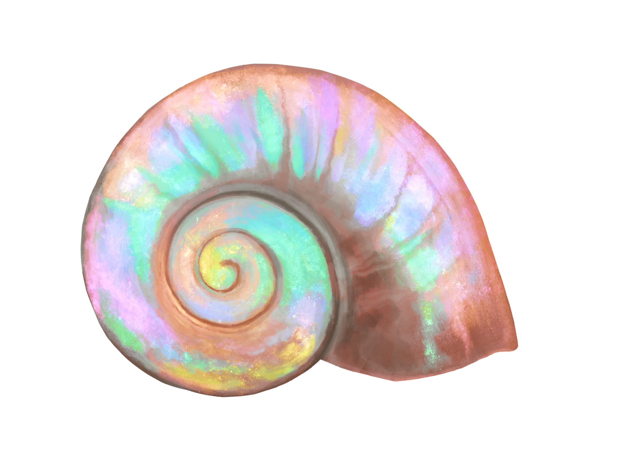 Iridescent Shell Sticker